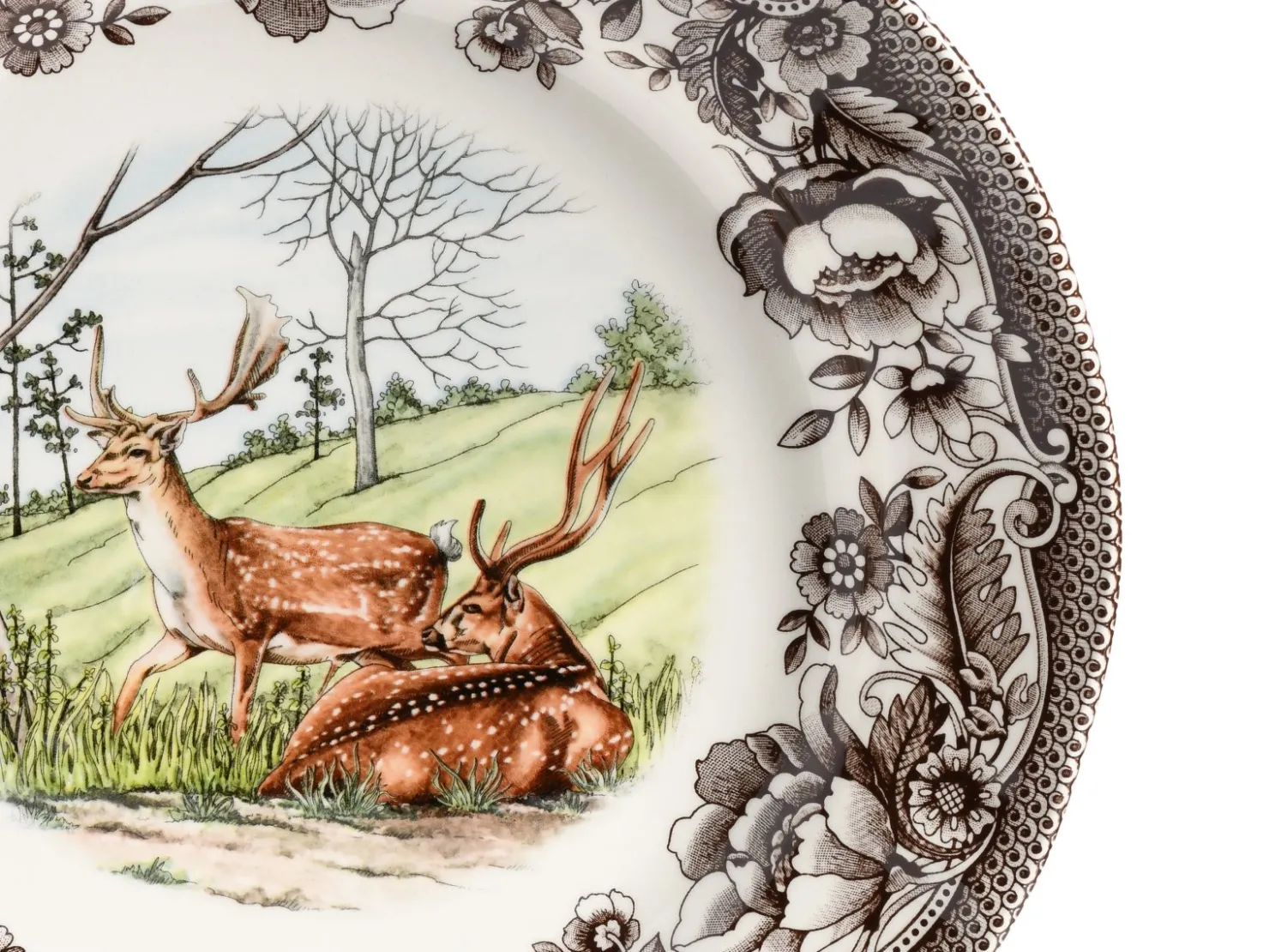 Creatable Geschirrset|Teller|Haydon Grove - Tellerset 18-tlg - Bunt