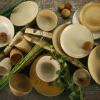 Creatable Geschirrset|Sahara - Kombiservice 3-tlg - Sand