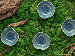 Creatable Bowls & Schüsseln|Geschirrset|Yuki - Bowl 4-tlg - Grün-blau