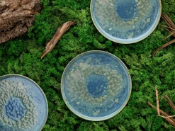 Creatable Geschirrset|Teller|Yuki - Speiseteller 4-tlg - Grün-blau